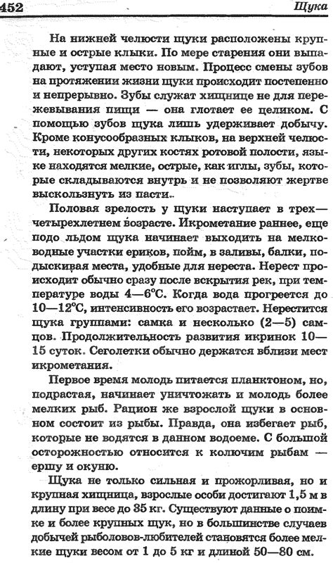 Половая зрелость у щуки наступает в трех— четырехлетием возрасте ...