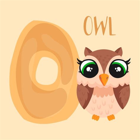 premium vector alphabet  owl vector educational animals alphabet