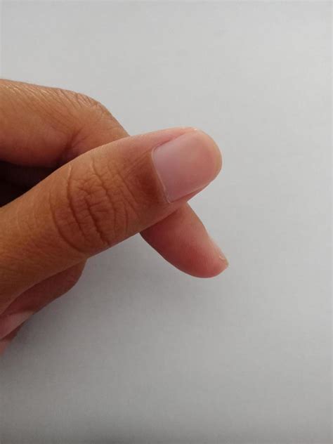 cuticle stock  images  backgrounds