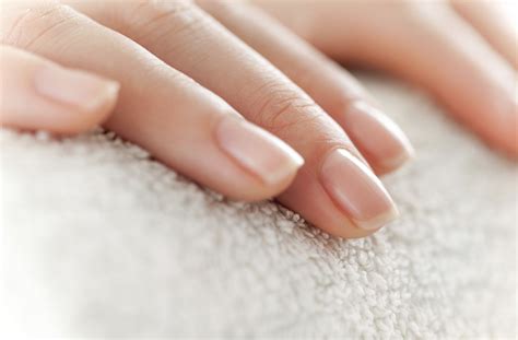 parts   nail structure    grow