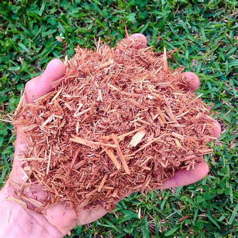 Cypress AG+ Mulch
