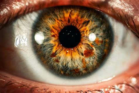 beautiful eye pictures hd   images  unsplash