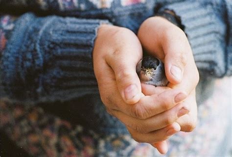 Каждый человек, появляющийся в нашей жизни, — учитель! Кто-то учит быть ...