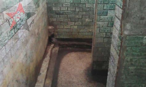 The prison in Pazardjik city: a story from inside – The Bulgarian ...