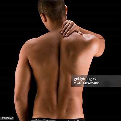 424 Anatomy Of Lower Back Stock Photos, High-Res Pictures, and Images