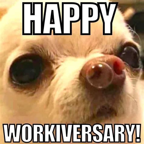 65 Best Work Anniversary Memes For Office Celebrations | Work ...