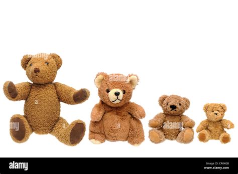 teddy bears stock photo alamy