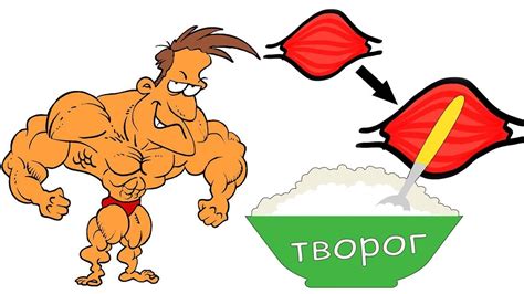 Творог для РОСТА МЫШЦ. Вся польза. - YouTube