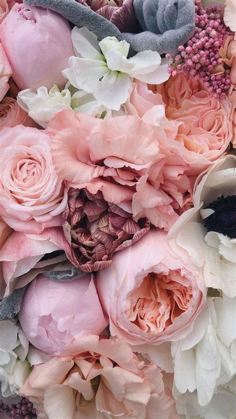 ОБОИ НА ТЕЛЕФОН | Flower background iphone, Flower aesthetic, Flower ...