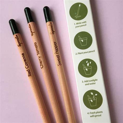 Sprout pencils with seeds - Plantable Black Pencil End