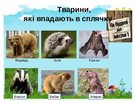 Презентація " Дикі і свійські тварини" 1клас НУШ | Презентація. Я ...