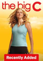 big    netflix flixboss