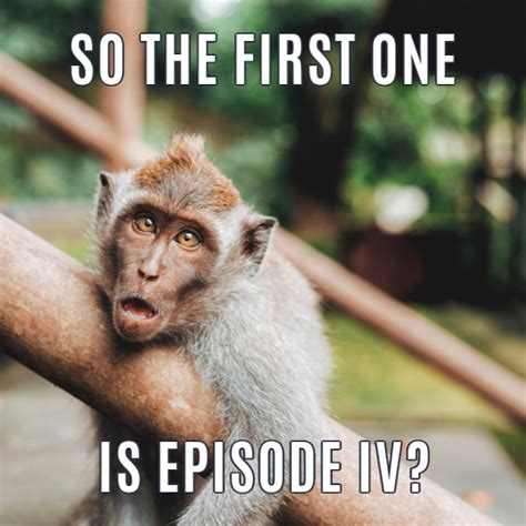 template customize  picmonkey