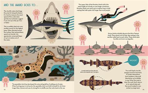 Smart About Sharks - книга про акул для детей ∞ Лагуна акул