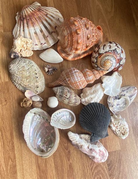 rare perfect  artofit