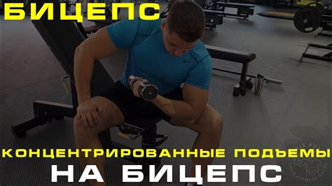 КОНЦЕНТРИРОВАННЫЕ ПОДЪЕМЫ НА БИЦЕПС - YouTube