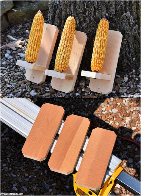 30 Cool DIY Squirrel Feeder Ideas - Blitsy