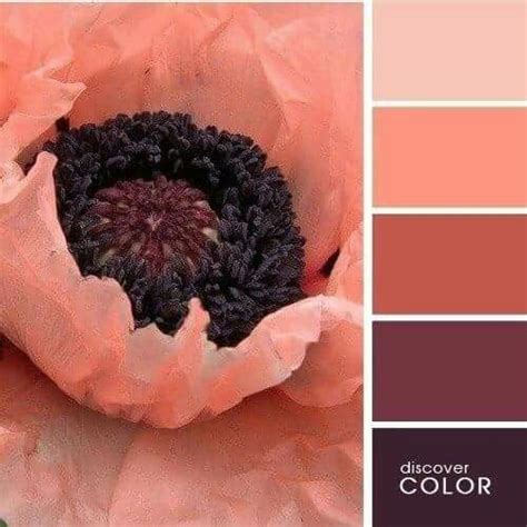 Теракотовый | Color schemes colour palettes, Color balance, Paint color ...