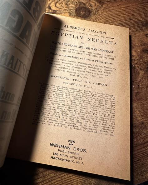 The Secrets Of The Egyptian Gnostics 4