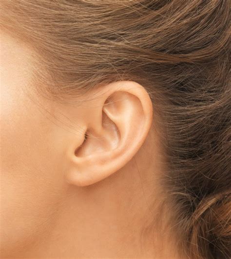 biology teacher told   earlobes  wrong