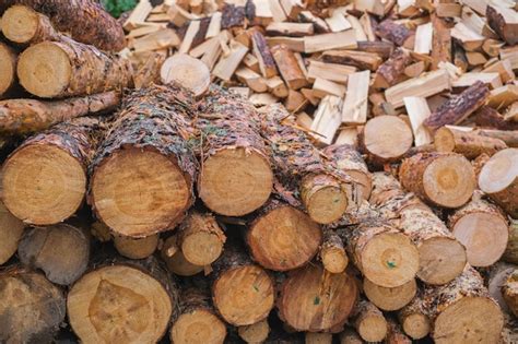 strona  gatunki drewna zdjecia darmowe pobieranie na freepik
