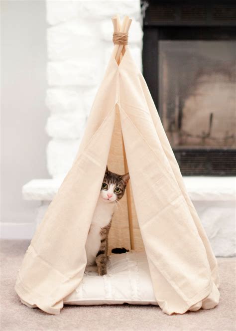 30 Unique DIY Cat Bed Ideas That Anyone Can Make - Blitsy