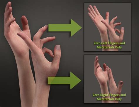 pose utility presets  genesis     models  daz