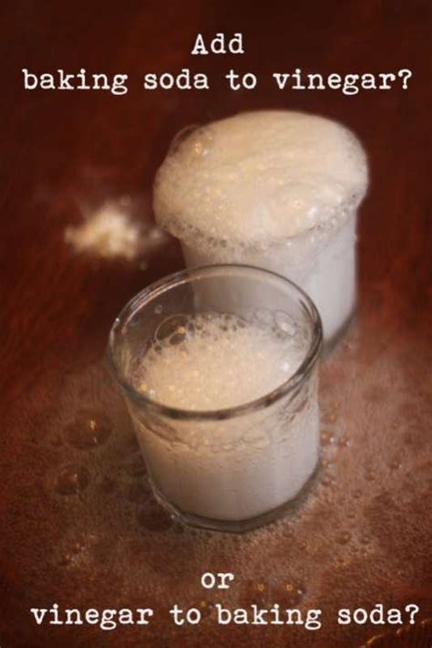 baking soda  vinegar experiment  find  whats