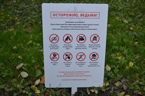 Подборка прикольных картинок и фотографий-12