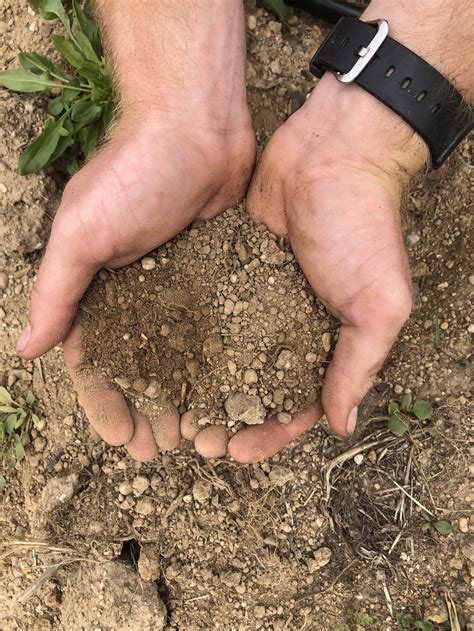 Building the Soil: What We’re Starting With — Ceres Community Project