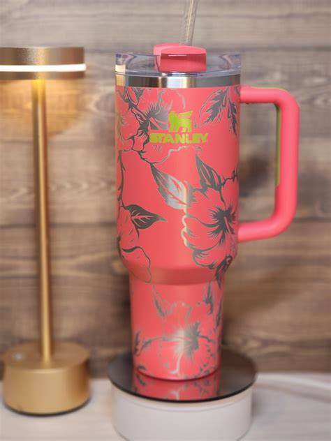 Hibiscus Stanley – TLCDestin