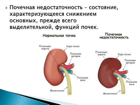 Почечная недостаточность. Уремия - презентация онлайн