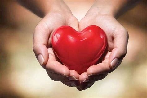 dil ki dhadkan romantic shayari collection amar ujala kavya