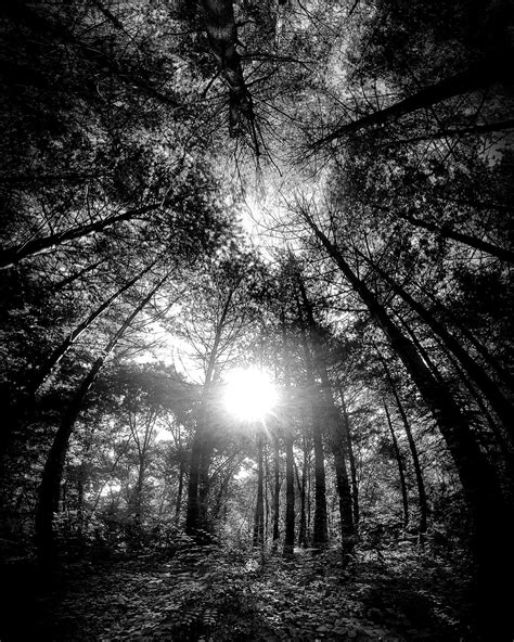 Katie Rose Photography (@katierose.pics) • Instagram photos and videos