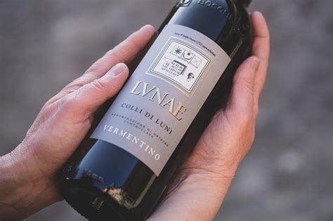 VinoDoc.cz - nejlepší italská vína za férovou cenu!