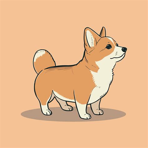 Cartoon cute corgi illustration. Isolated vector dog. 20146769 Vector
