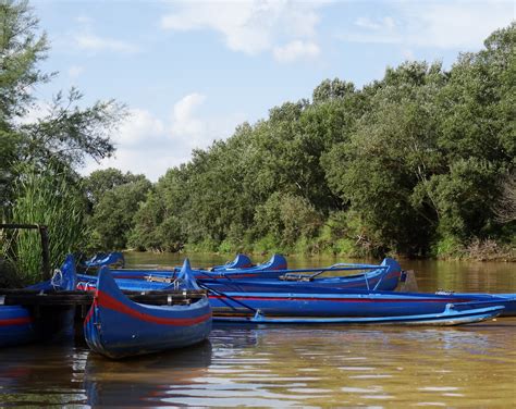 Безплатна снимка : море, река, гребло, превозно средство, Тоскана ...
