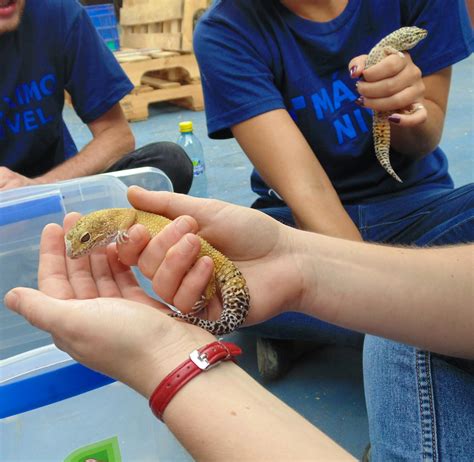 Exotic Animal Rescue Center Helper | Volunteer in Guatemala 2025