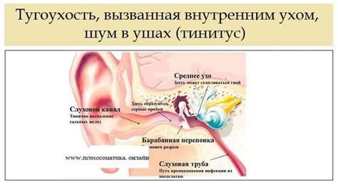 Как лечить зуд в ушах: причины и симптомы какой болезни