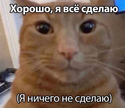 Бебеля и точка 2024 | ВКонтакте