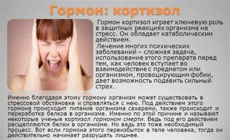 Кортизол (гормон стресса) — за что отвечает?