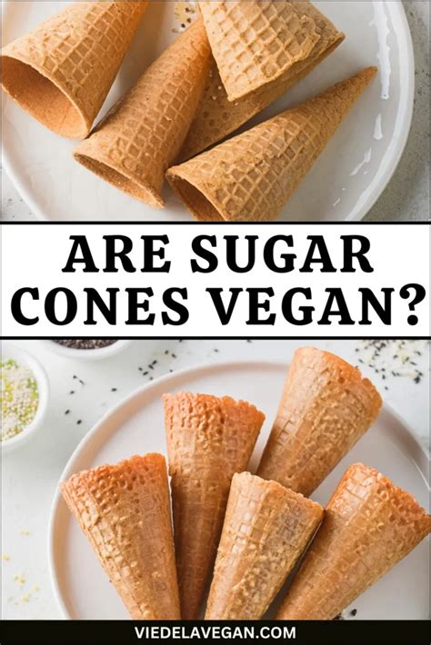 Are Sugar Cones Vegan? Discover Your Vegan-Friendly Options