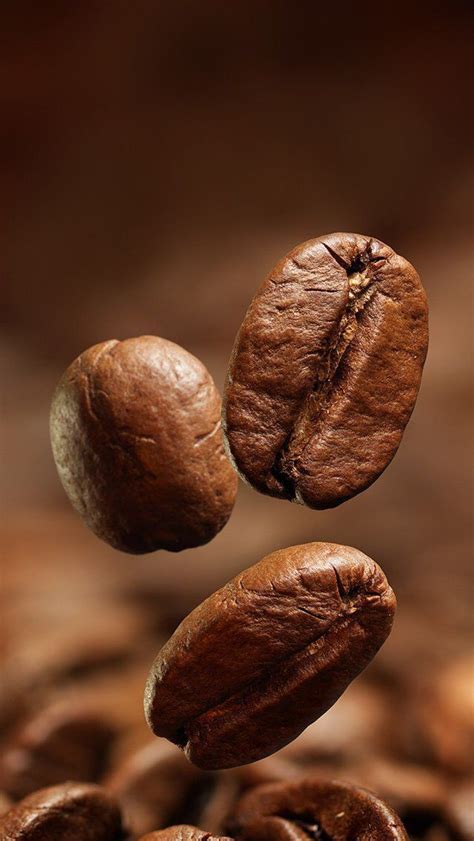 💔𝒹𝒶𝓇𝓀 𝒶𝑔𝑜𝓃𝒾💔 adlı kullanıcının Caffe panosundaki Pin | Kahve ...