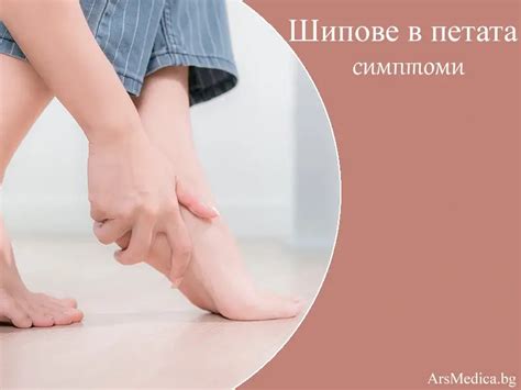 Анатомия на женските полови органи | ArsMedica.bg