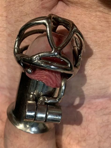 Piercing prince albert - 16 Pics | xHamster