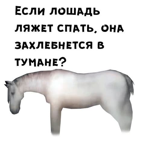 Набор стикеров для Telegram «Ёжик в тумане»