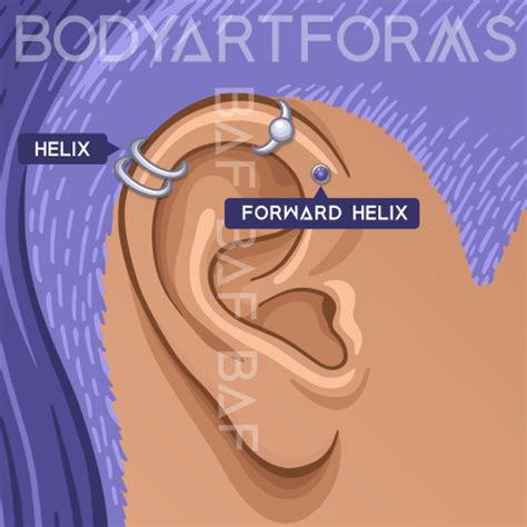 bodyartforms guide  ear piercings