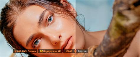 Jenovox M3000 pro - заказать в официальном магазине