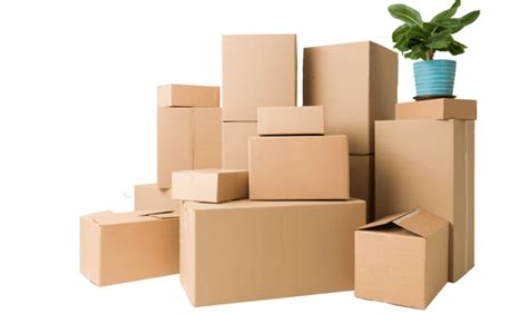 Giấy Carton Là Gì? Cấu Tạo - Ứng Dụng - Mua Ở Đâu Rẻ