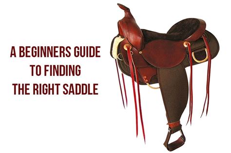 beginners guide  picking  saddle  perfect bit